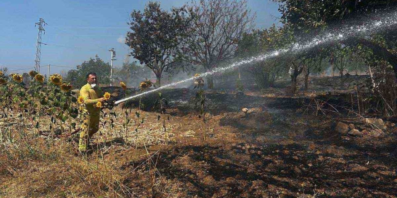 Bilecik'te Ot Yangını Söndürüldü