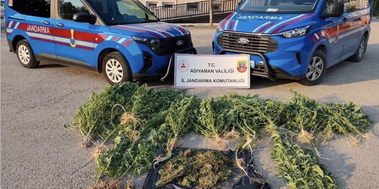 Kahta'da Uyuşturucu Operasyonu: 1,5 Kg Esrar Ve 42 Kök Kenevir Ele Geçirildi