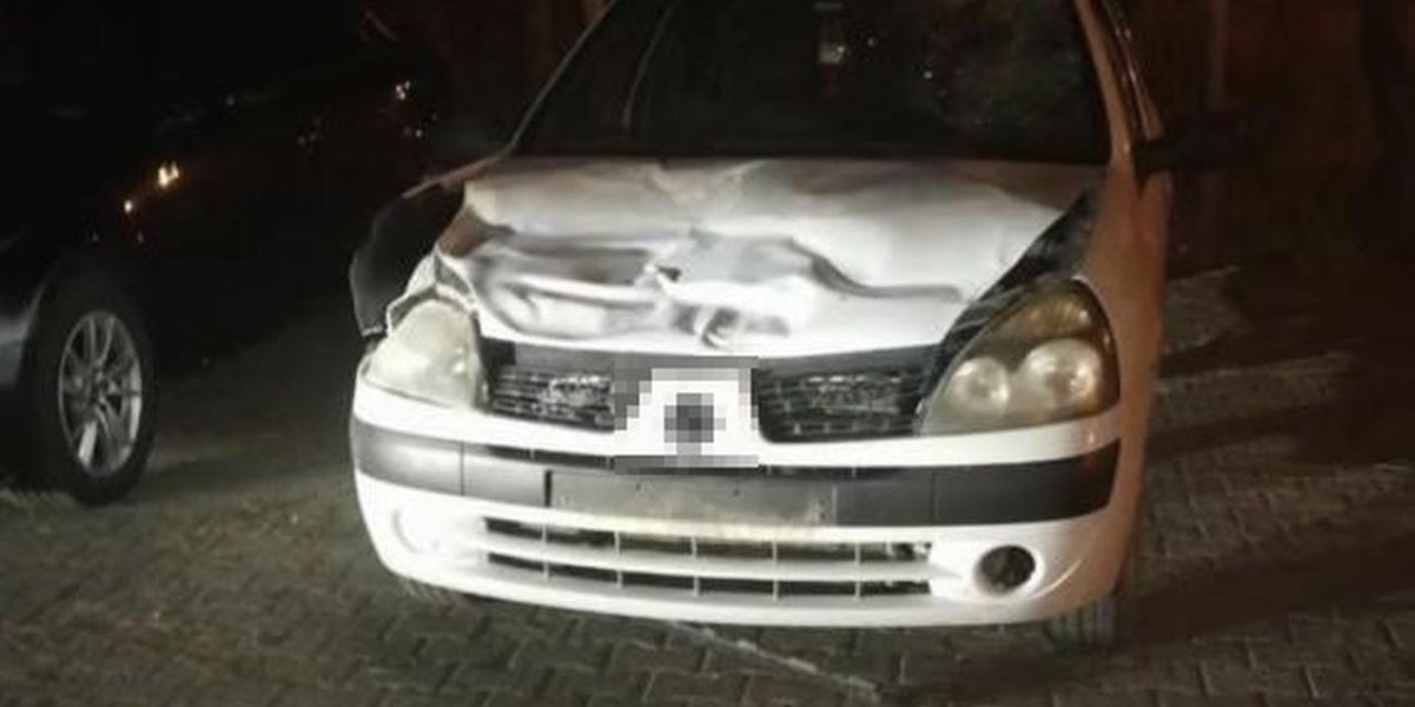 Çankırı'da Otomobil Eşeğe Çarptı