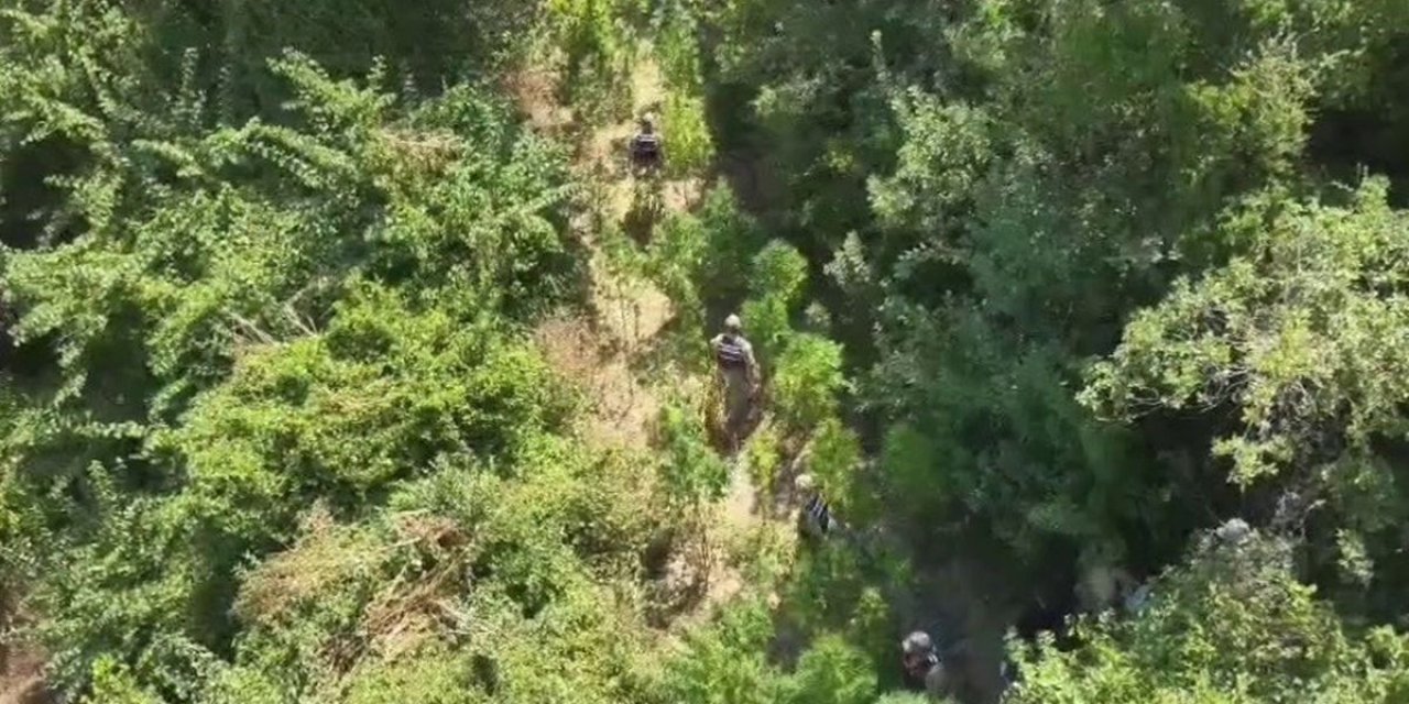 Hatay'da Kenevir Ve Esrar Ele Geçirildi