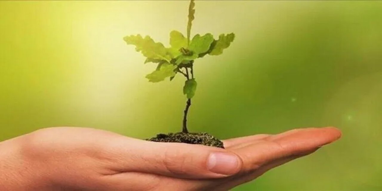COP31 Gençlik İklim Ideathonu Başvuruları Başladı