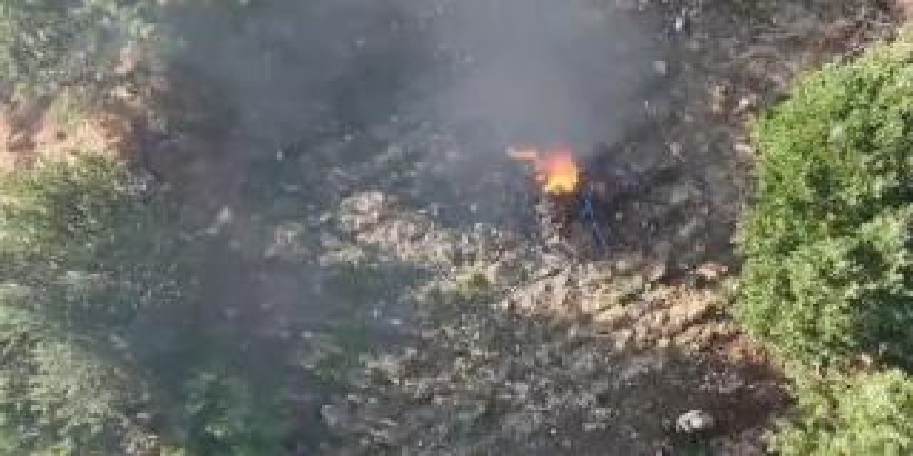 Diyarbakır'da 247 Bin 145 Kök Kenevir Ve Skunk İmha Edildi