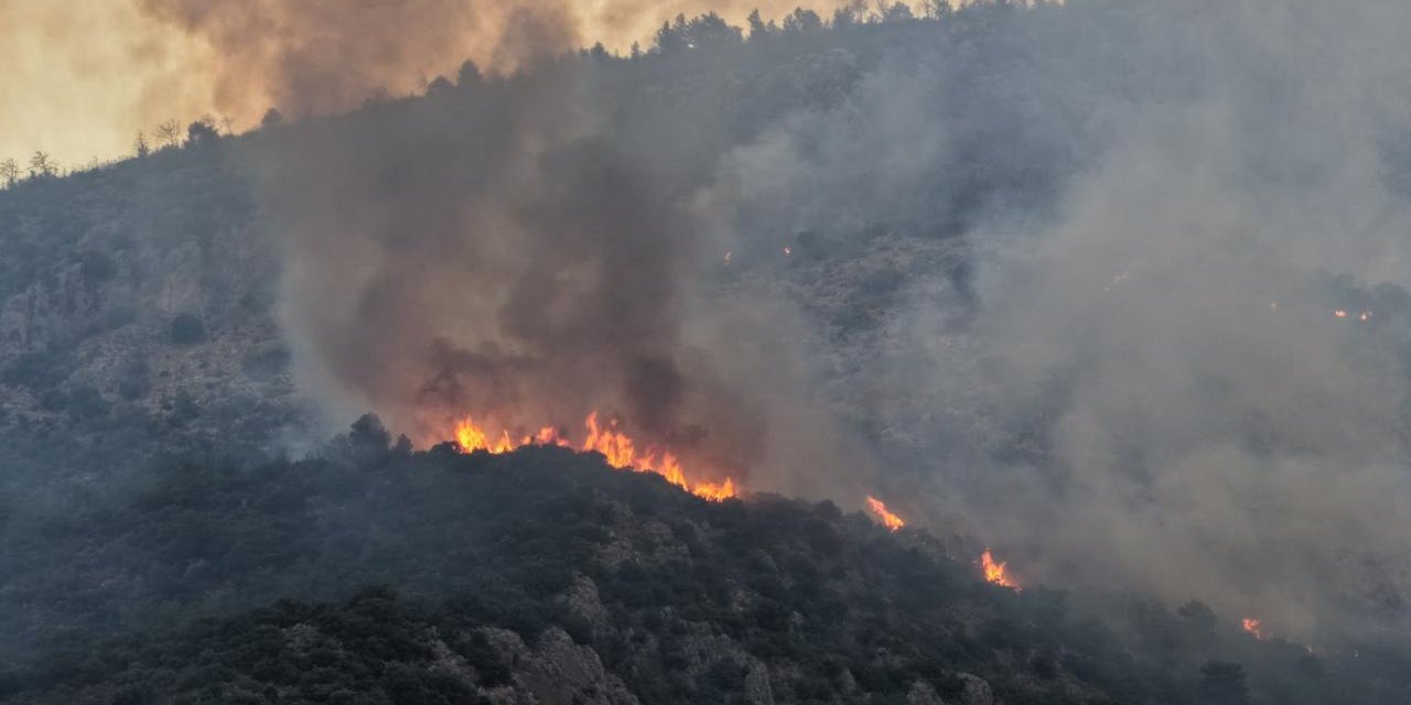 Uzmanından Orman Yangını Uyarısı: 30-30-30 Kuralında Kırmızı Alarm