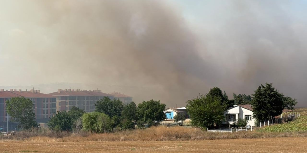 Silivri'de Tarlada Başlayan Yangın Yayıldı