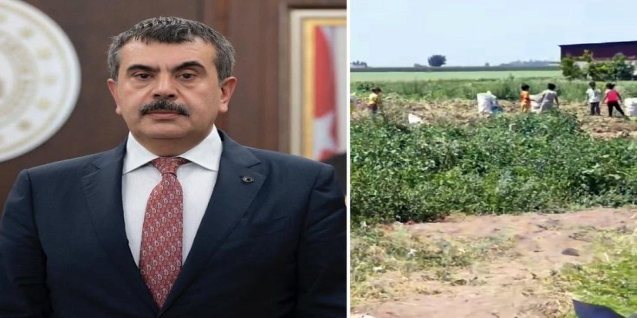 Hatay Kumlu'da Vahim İddialar! Bakan Tekin'e Çağrıda Bulundular: Lütfen Bu Duruma El Atın
