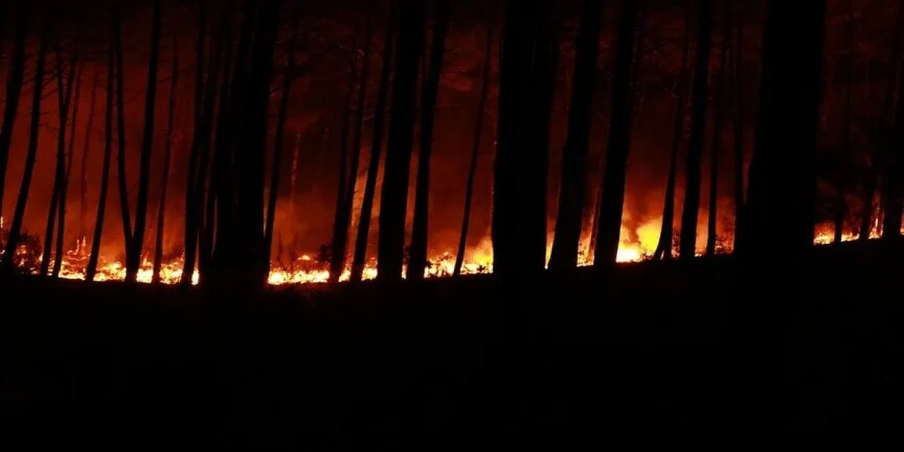 Fransa'nın Landes Vilayetindeki Orman Yangınında 1580 Hektarlık Alan Küle Döndü
