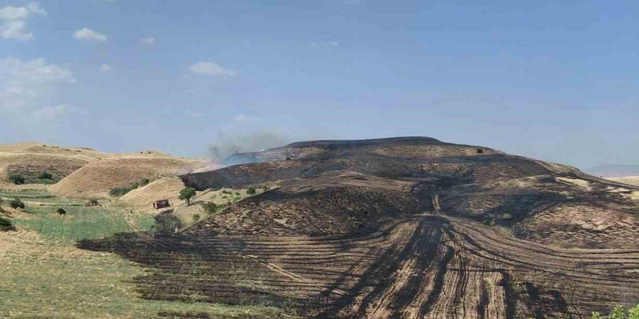 Siirt'te Anız Yangını Meyve Bahçesine Sıçradı