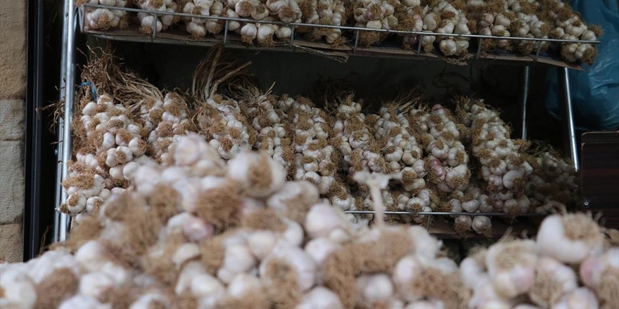 Taşköprü Sarımsağında Fiyatlar Dengelendi