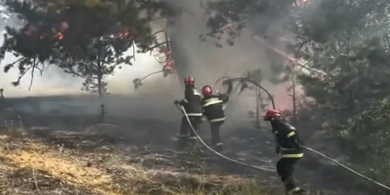 Sırbistan'da 45 Orman Yangınına Müdahale Sürüyor