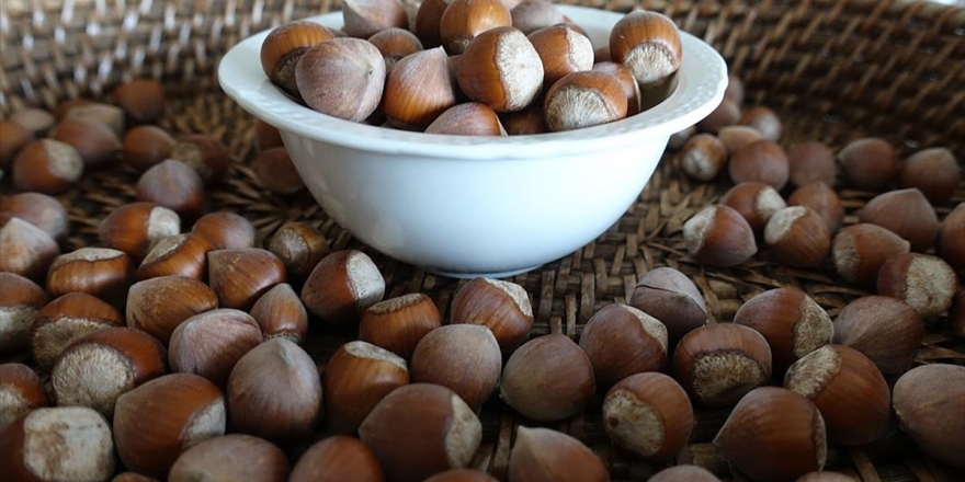 Fındık İhracatında Bu Sezon Rekor Bekleniyor