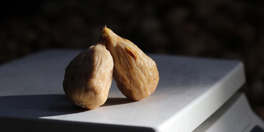 Kuru İncir İhracatçısının Yüzü Gülüyor