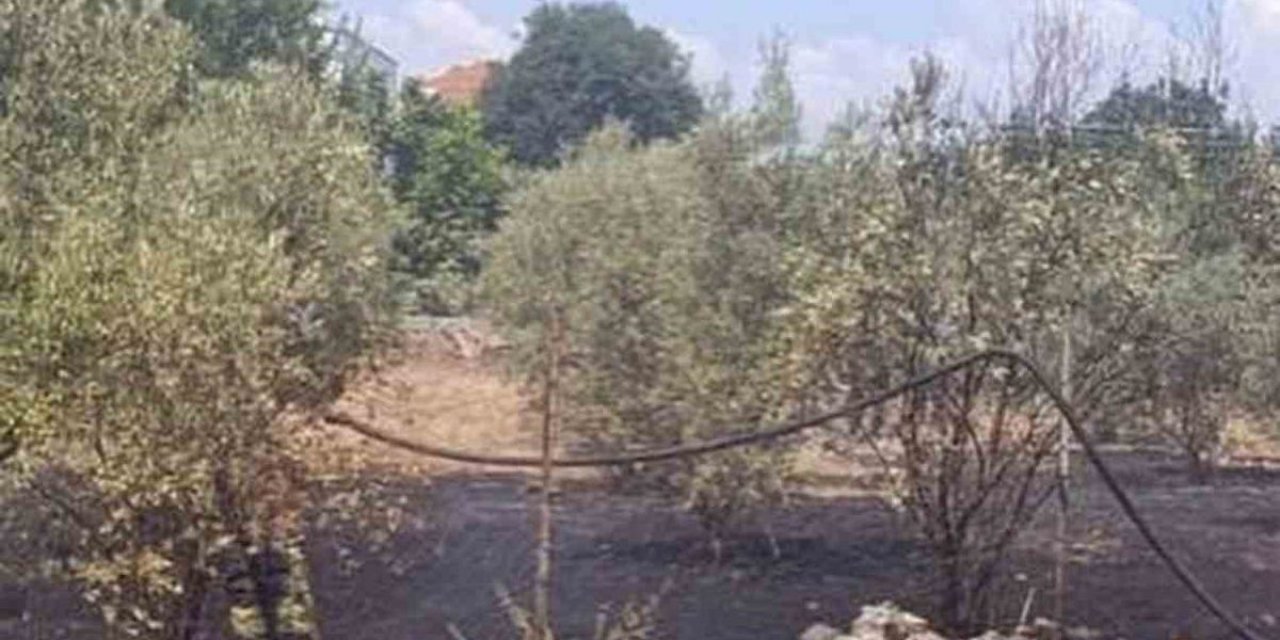 Dörtyol'da Bahçe Yangını Kontrol Altına Alındı