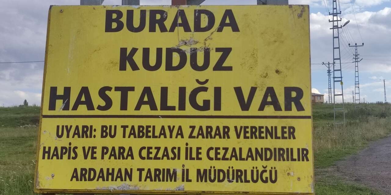 Ardahan'da Korkutan Karantina! Kuduz Virüsü Tespit Edildi