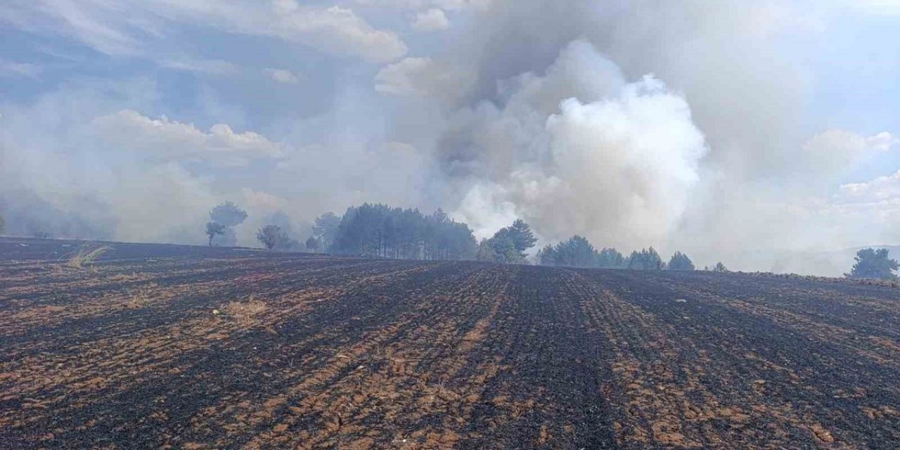 Kütahya'da Orman Yangını Kontrol Altına Alındı