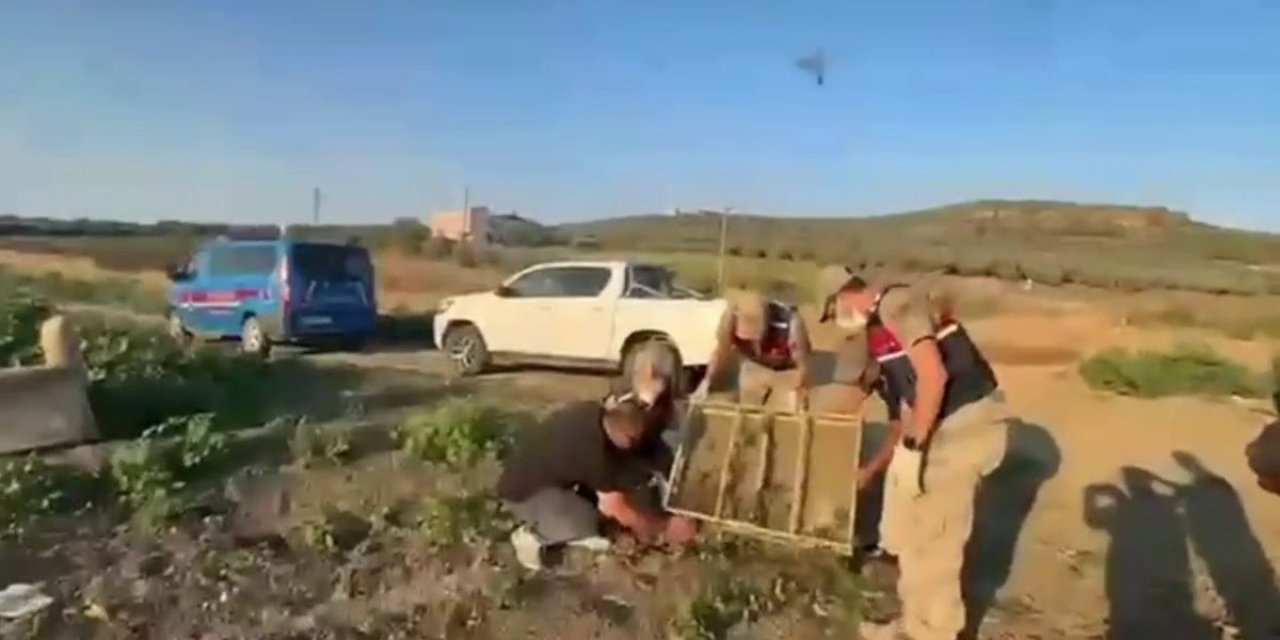 Hatay'da Saka Kuşu Kaçakçılığına 19 Milyon TL Ceza
