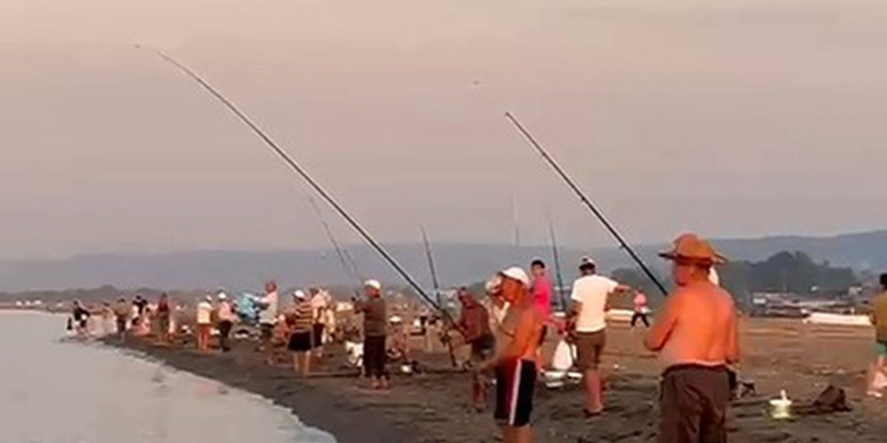 Karacabey'de İstavrit Bolluğu