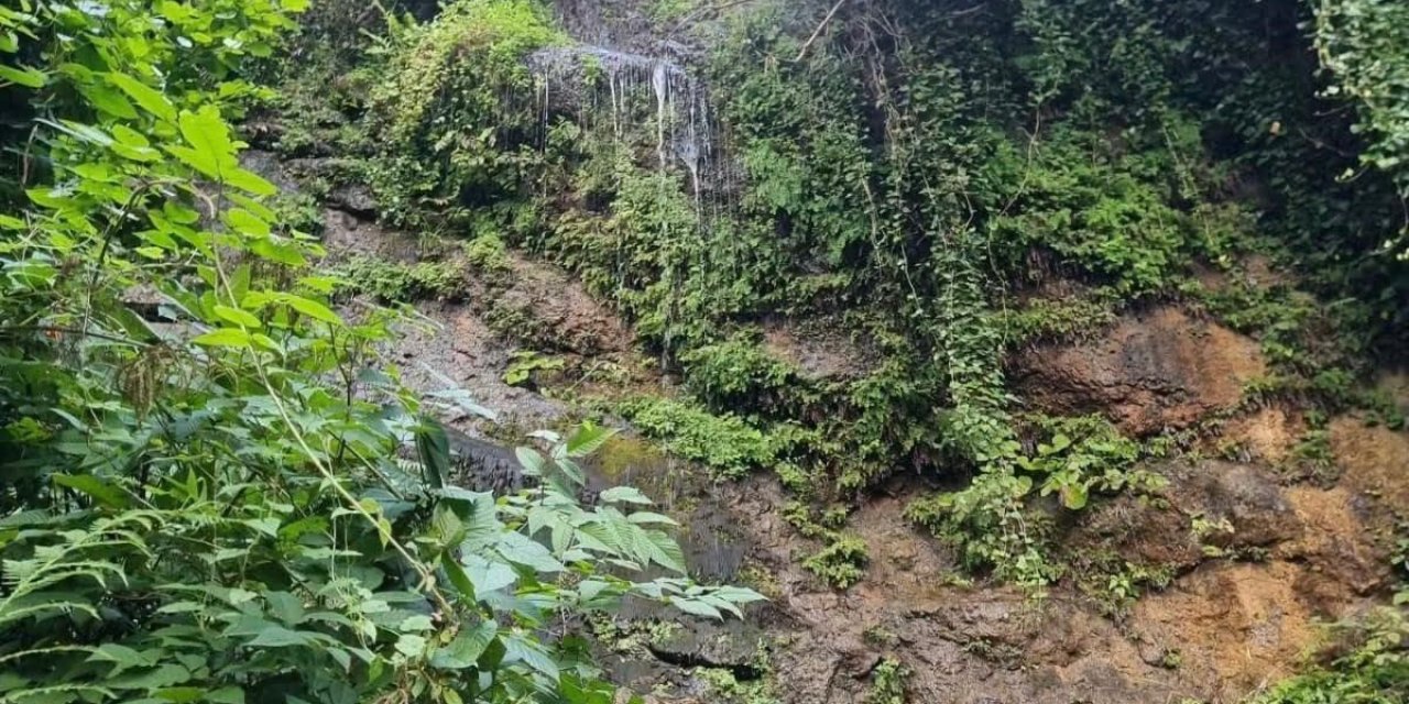 Giresun'da Fındık Bahçesinde Uçuruma Düşen Genç Hayatını Kaybetti