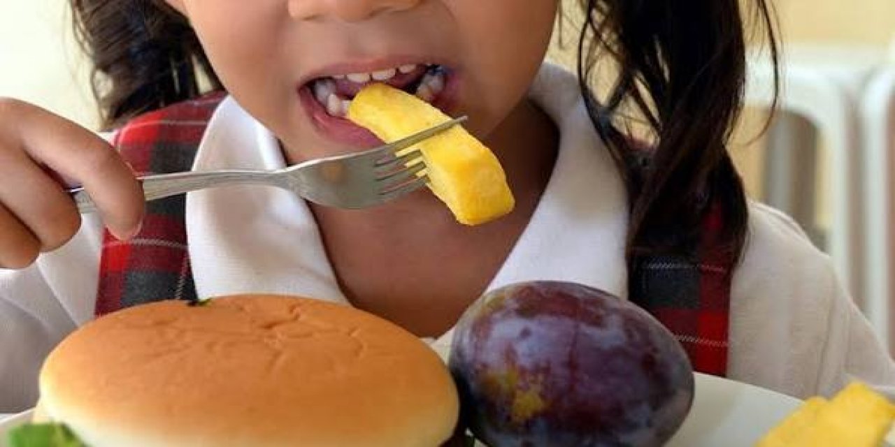 Çocukluk Çağı Obezitesi Karaciğer Hastalıklarına Yol Açabilliyor