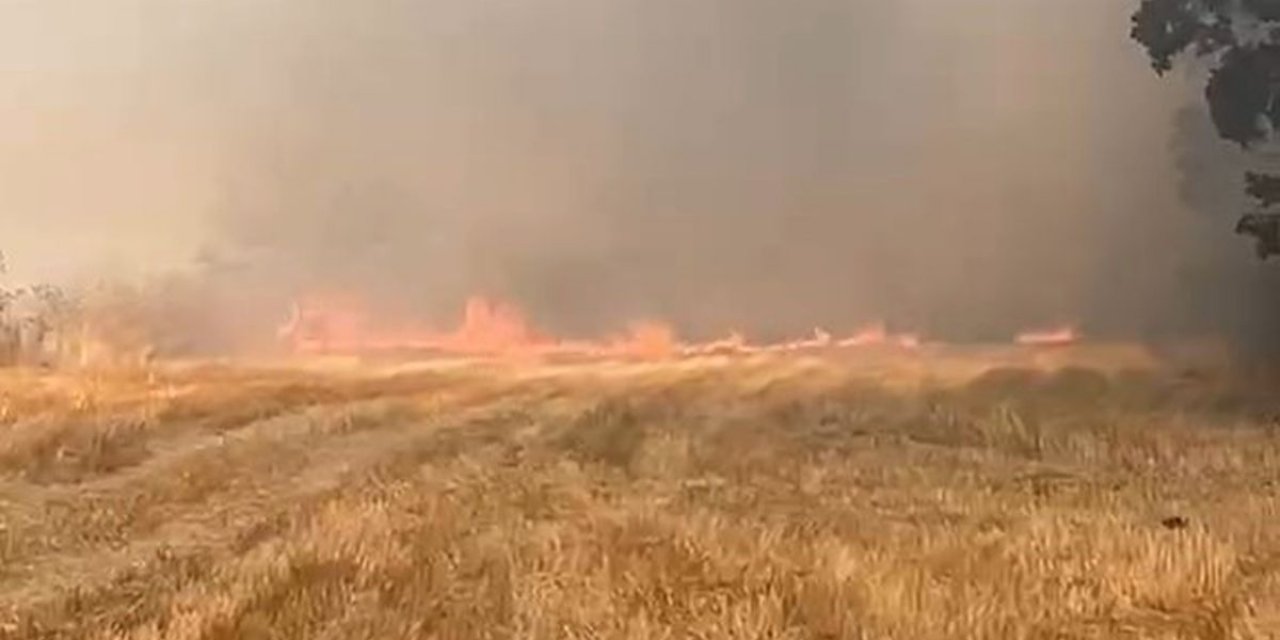 Eskipazar'da Anız Yangını Kontrol Altına Alındı