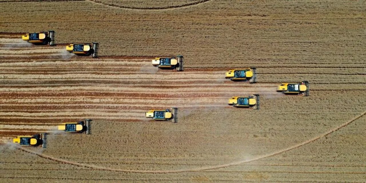 Türkiye Tarımsal Hasılada Dünyada 7'nci, Avrupa'da Birinci Sırada