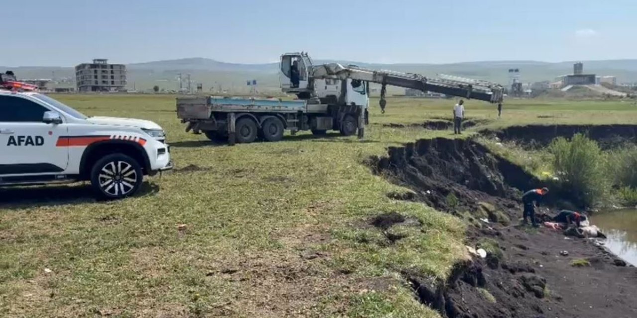 Ardahan'da Bataklığa Saplanan At Kurtarıldı