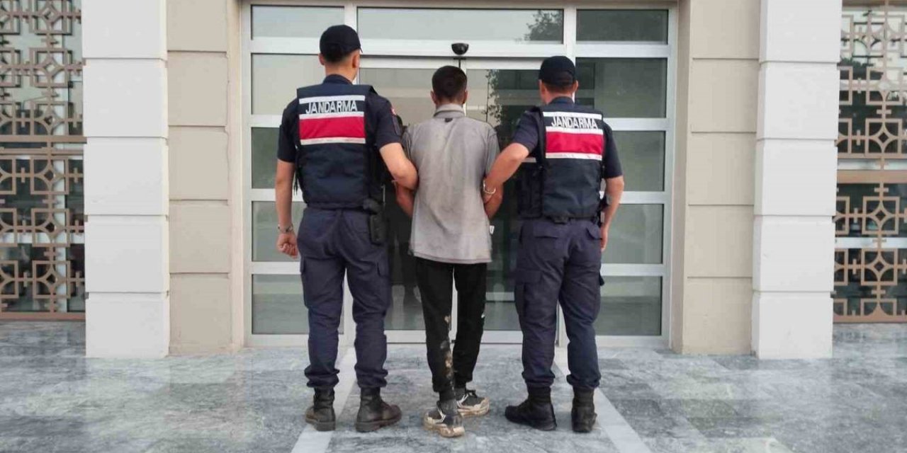 İncir Hırsızı Suçüstü Yakalandı