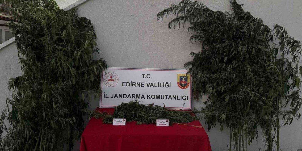 Edirne'de Kenevir Operasyonu