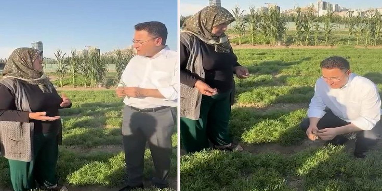 Geçinemeyen Üretici Babacan'a Dert Yandı