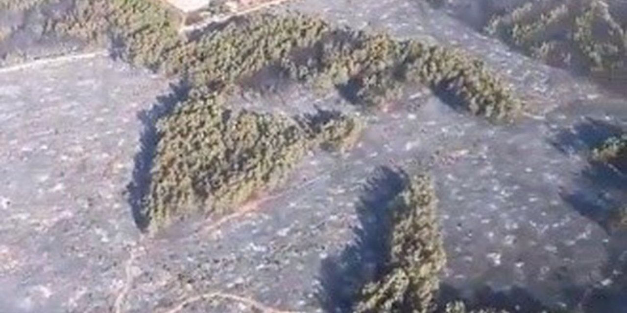 Muğla Ve Antalya'daki Orman Yangını Kontrol Altına Alındı
