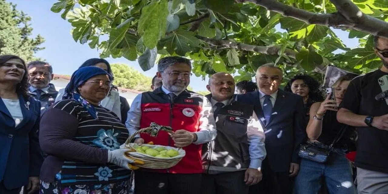 Tarım Ve Orman Bakanı Yumaklı: Türkiye, Dünya İncir Üretiminde Yüzde 28'lik Oranla Birinci Sırada.