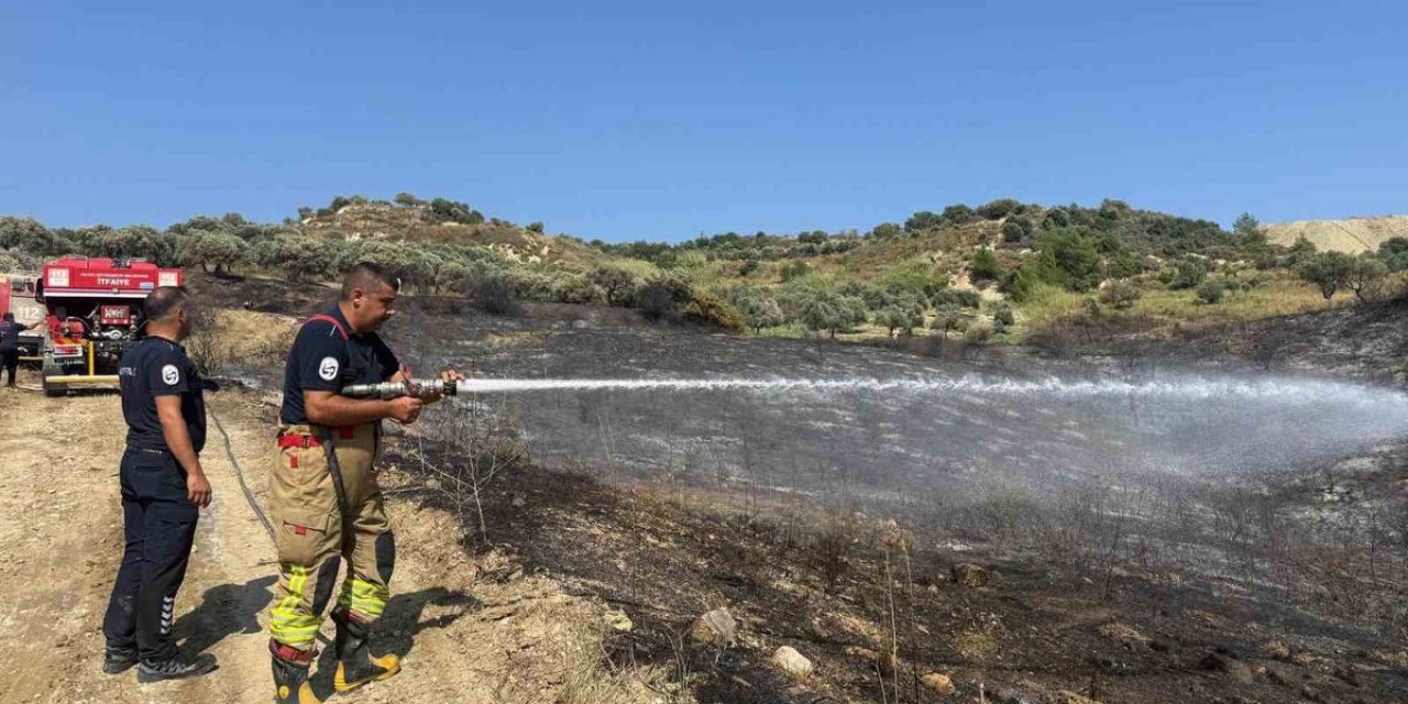 Hatay'ın Antakya İlçesinde Zeytinlik Yangını Evlere Sıçramadan Söndürüldü, Zarar Gören Alan Kamerada