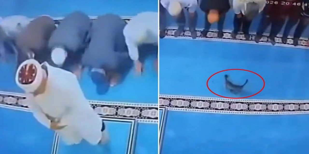 Namazda Akılalmaz Olay! Tekmelediği Kedi İmamın Başına Çarptı