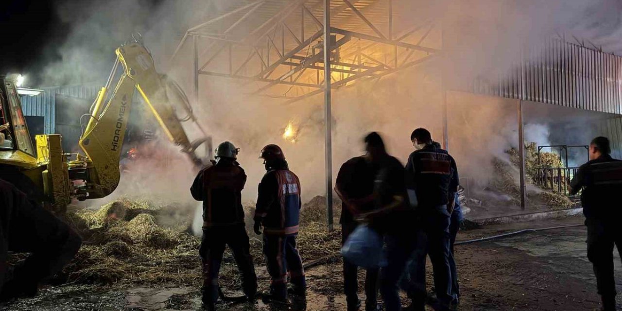 Adapazarı'nda Samanlık Yangınında Binlerce Balya Kül Oldu, 4 Kişi Etkilendi