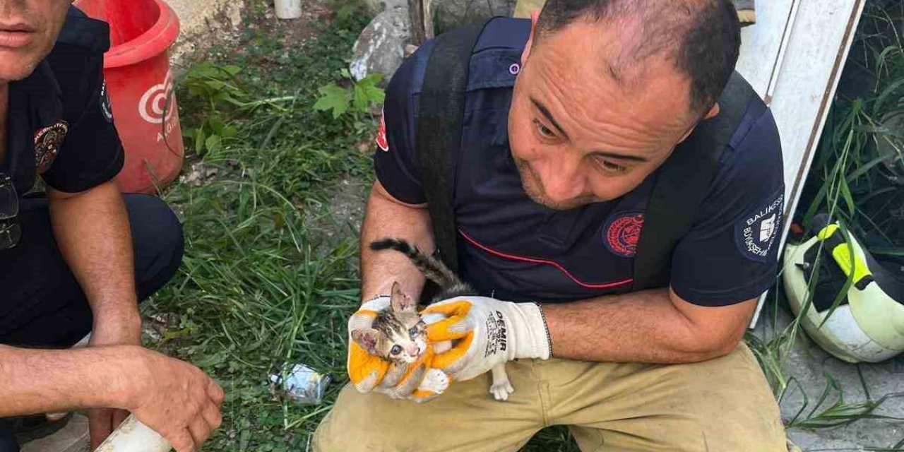 Balıkesir Erdek'te İki Bina Arasına Sıkışan Yavru Kedi İtfaiye Ekiplerince Kurtarıldı