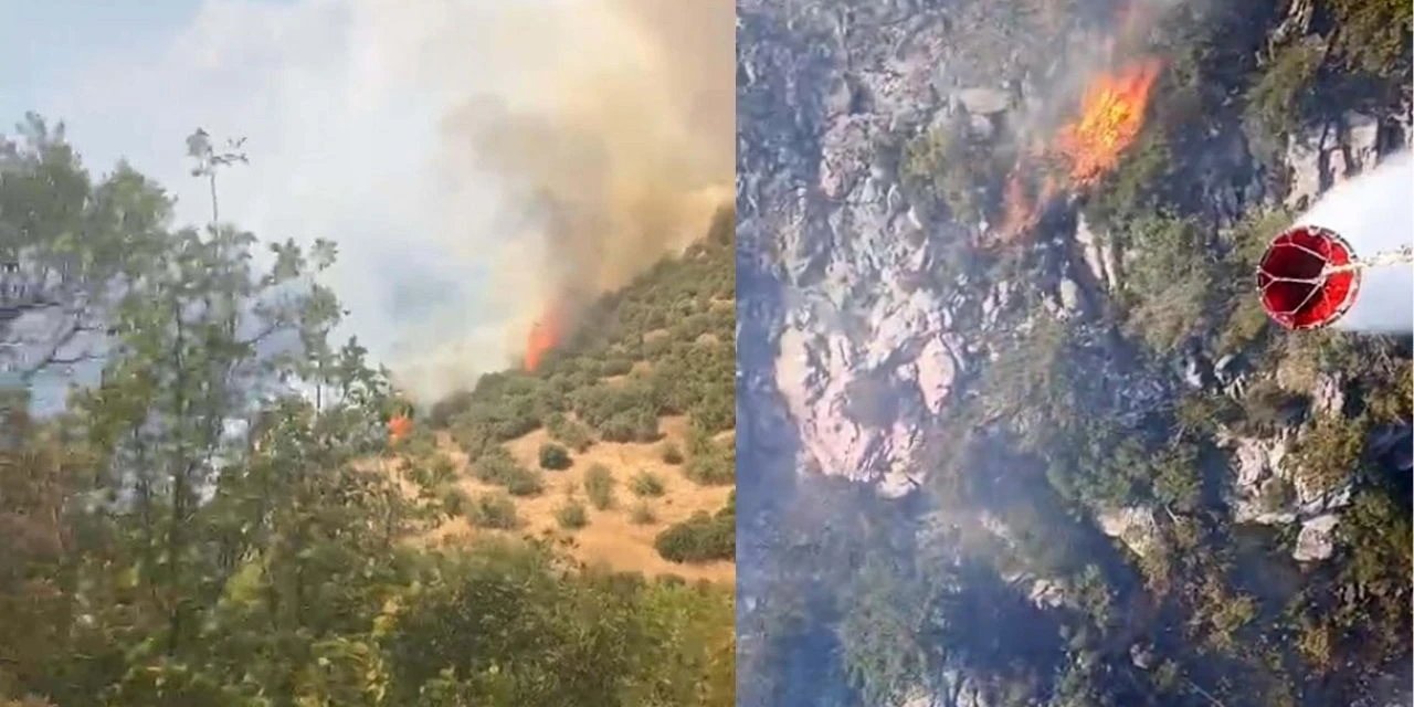 Balıkesir Ve Antalya'da Orman Yangını! Ekipler Havadan Ve Karadan Müdahale Ediyor