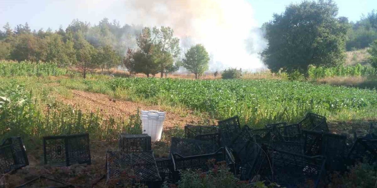 Bursa Kestel'de Orman Yangınına 2 Helikopter Ve 8 Araçla Müdahale Sürüyor