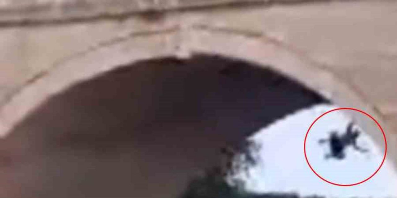 Edirne'de Köprüden Meriç Nehri'ne Düşen Kişiyi Gezi Teknesindekiler Kurtardı