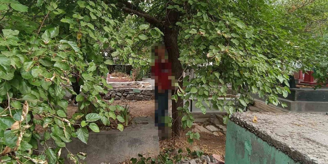 Diyarbakır'da Bir Kişi, Mezarlıkta Ağaca Asılı Halde Ölü Bulundu