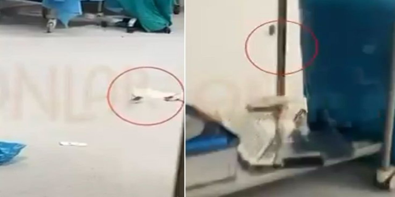 Görüntüler İstanbul’daki Hastanenin Ameliyathanesinden! Hasta Masadayken Fareler Dolaştı