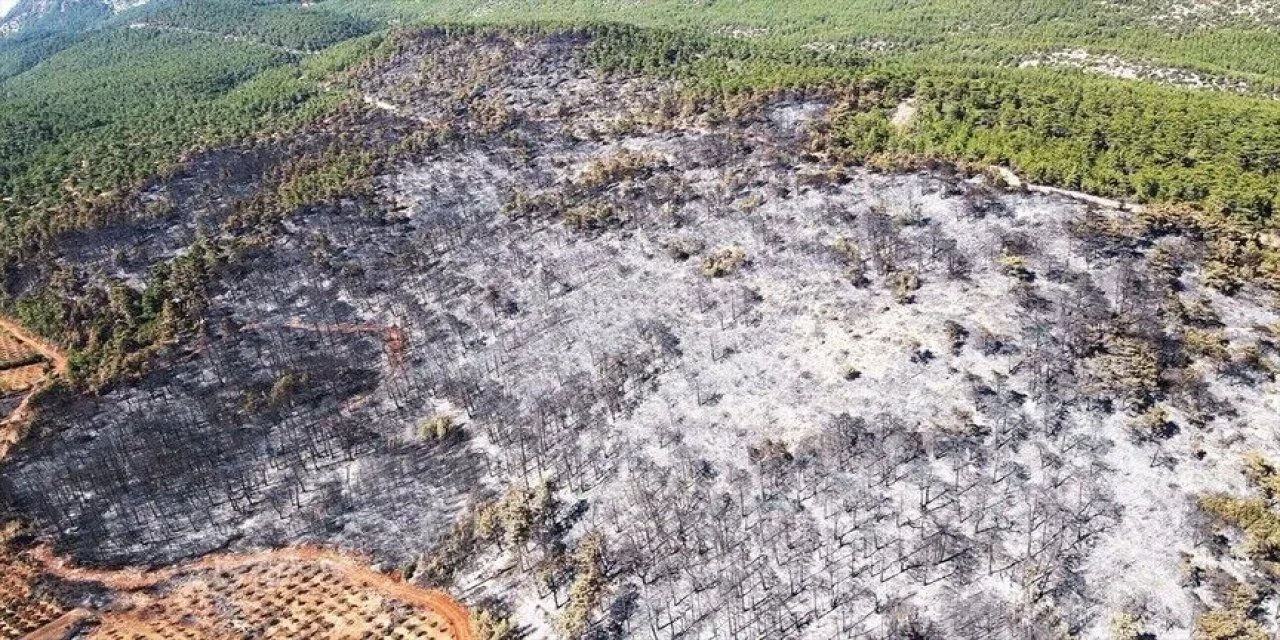 Muğla'da Yanan Ormanlık Alan Havadan Görüntülendi