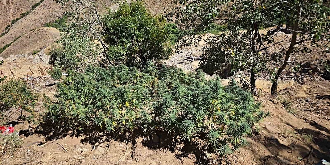 Bingöl'de Jandarma Bir Haftada 41 Olaya Müdahale Etti, 38 Şüpheli Yakalandı