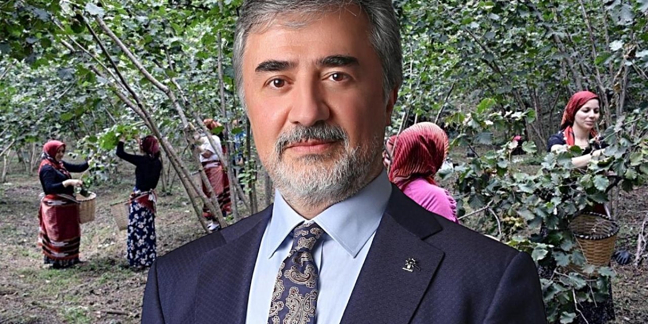 Hamarat’tan İhracatçı Ve Tüccarlara Fındık Fiyatı Çağrısı: Üreticinin Emeğini Gözetin