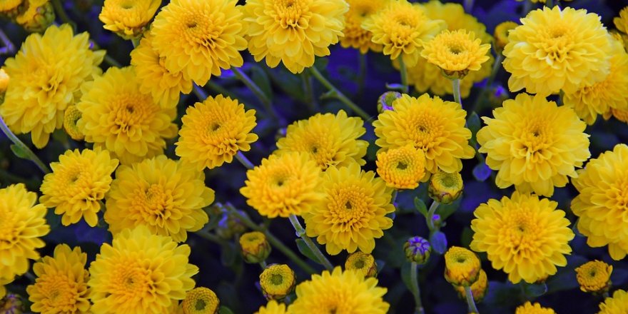 Kerime Yıldız yazdı: YENİ PARTİ, UMUT ve KASIMPATI