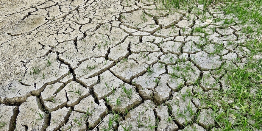 Dünya Sağlık Örgütü: İklim Değişikliği 21'inci Yüzyılda En Büyük Sağlık Tehdidi Olabilir