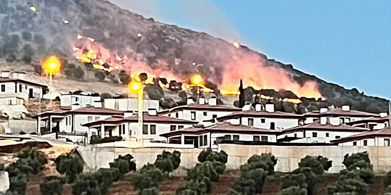 Adıyaman'ın Palanlı Mevkiinde Orman Yangını İtfaiye Ekiplerince Kontrol Altına Alındı