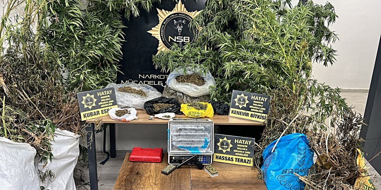 Hatay Antakya'da 122 Kök Kenevir, 14 Kilo 752 Gram Esrar Bulundu, 1 Şüpheli Tutuklandı