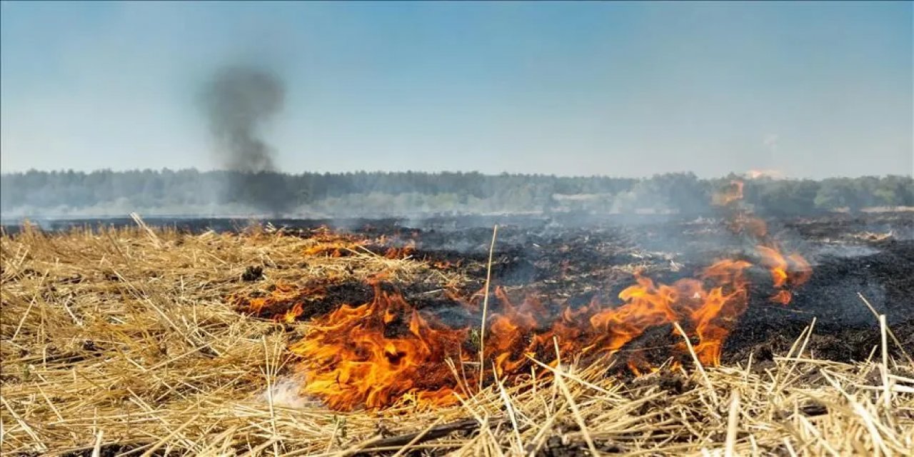 Fırat Edaş, Anız Yangınlarının Zararı Konusunda Uyardı