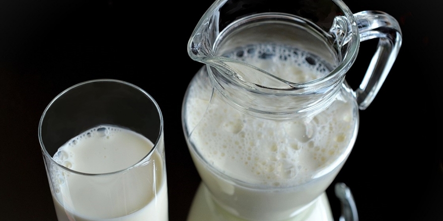 Kaba Yemle Beslenen Hayvanın Sütü Protein Açısından Daha Zengin