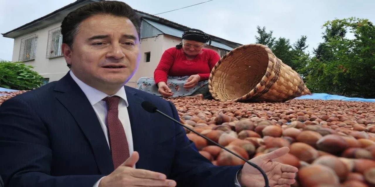 Babacan Fındık Üreticileriyle Buluştu: 20 Milyar Doları Bir Kişi Vurup Geçiyor