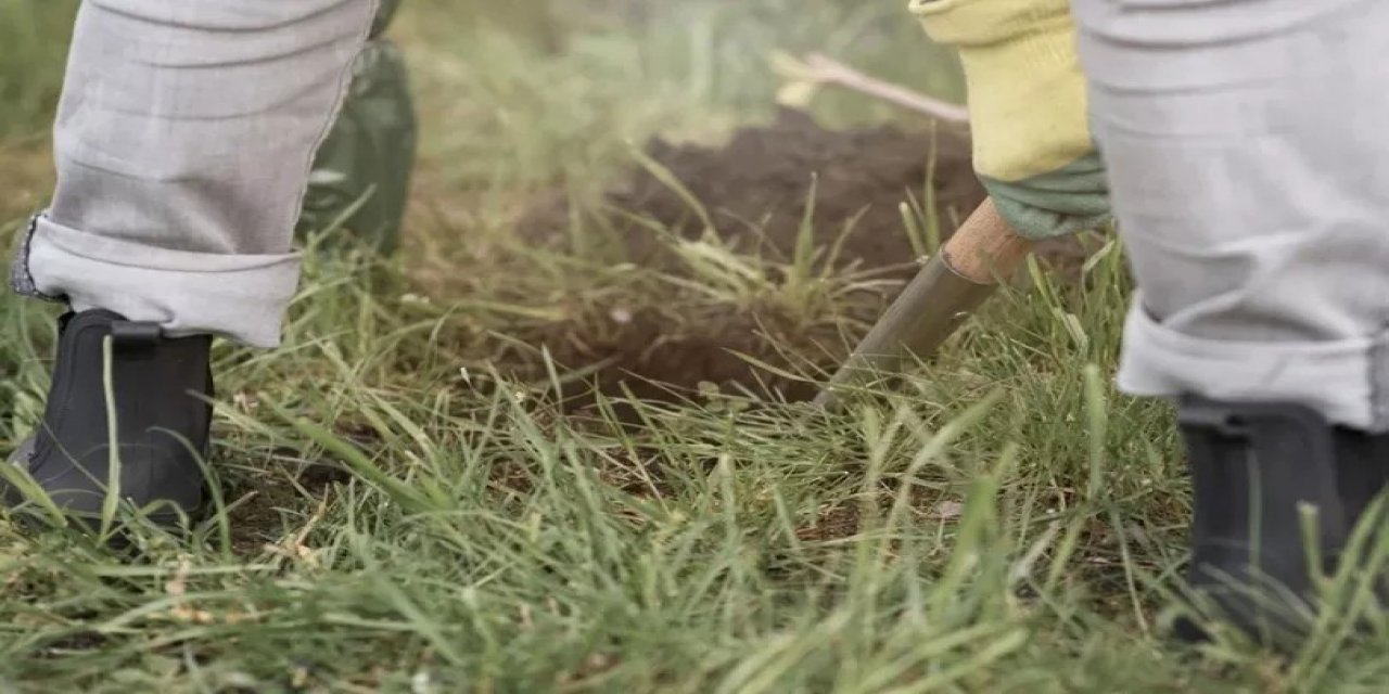Solucan Ararken Hayatları Değişti! Bahçeden 19 Milyon TL Çıktı